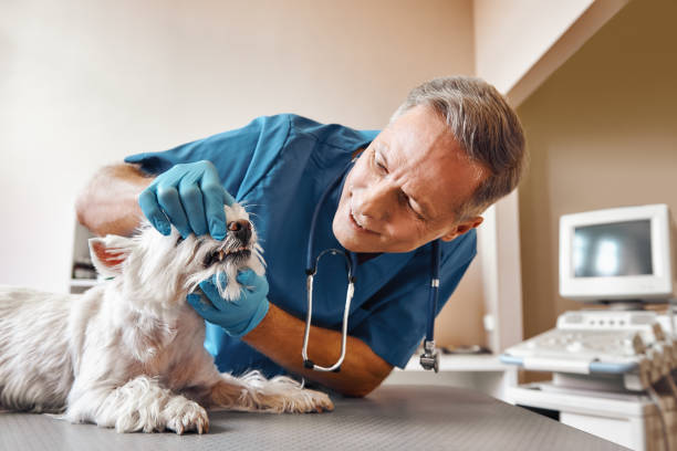 Best Emergency Tooth Extraction in Naples, FL